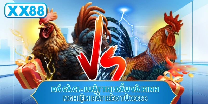Đá Gà C1 - Luật Thi Đấu Và Kinh Nghiệm Bắt Kèo Từ XX88